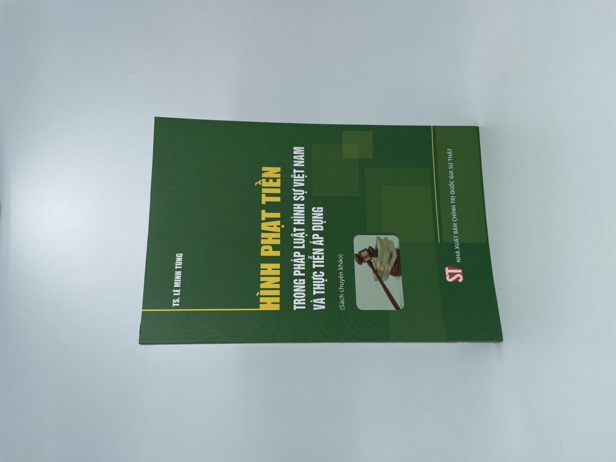 Hình phạt tiền trong pháp luật hình sự Việt Nam và thực tiễn áp dụng (Sách chuyên khảo)